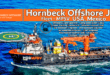 Hornbeck Offshore Jobs